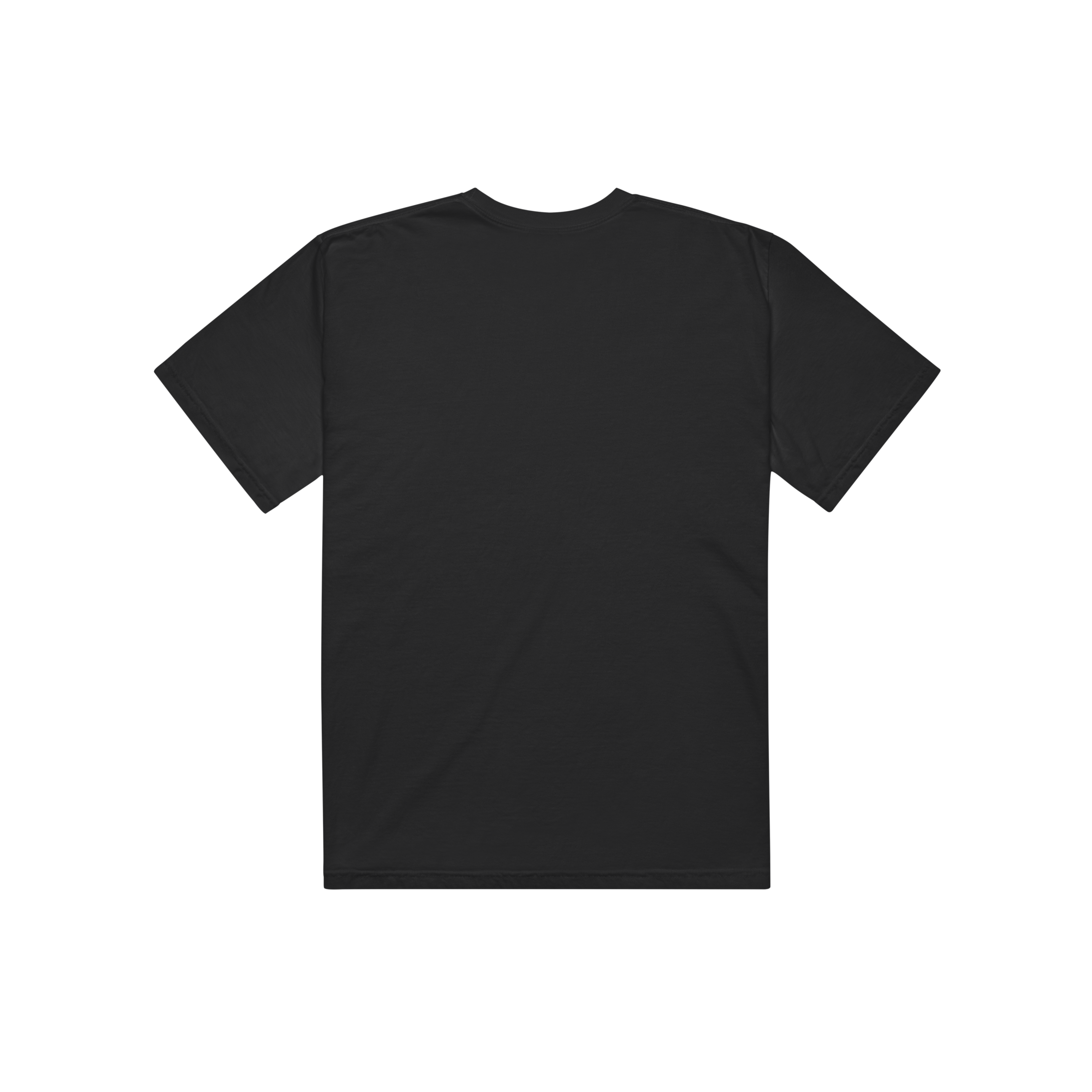 We Know What We Are Eagle & Serpent Unisex Tee