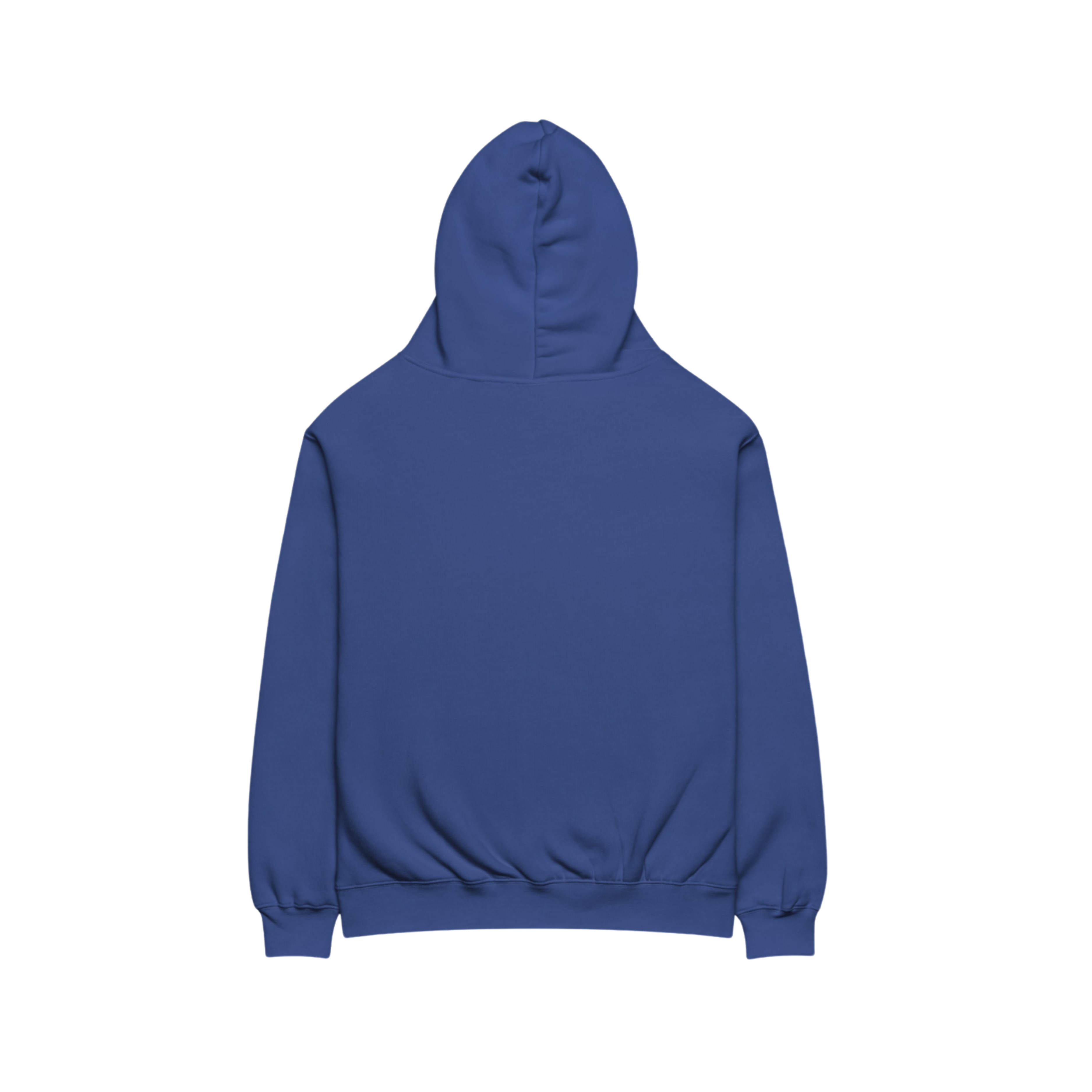 Pomegranate & Arabic Script Unisex Oversized Hoodie